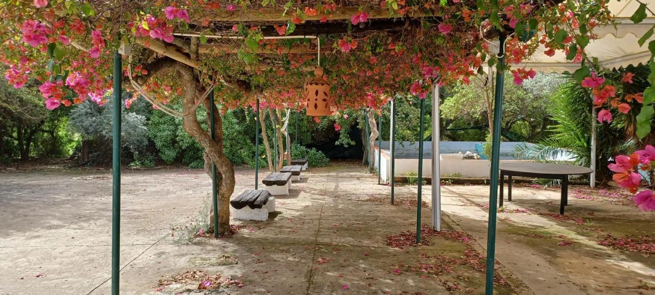 Quinta Velha 22 Daire Tavira Dış mekan fotoğraf